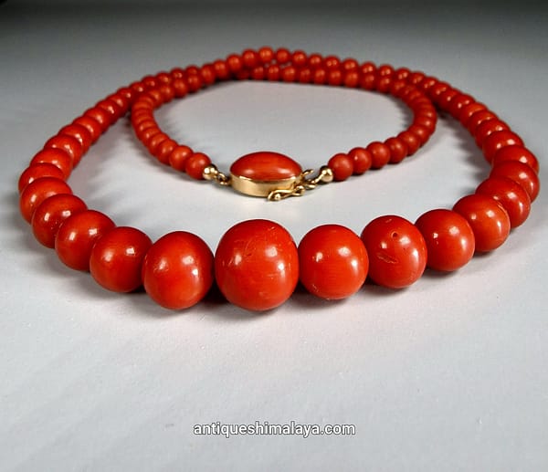 Coral Necklace