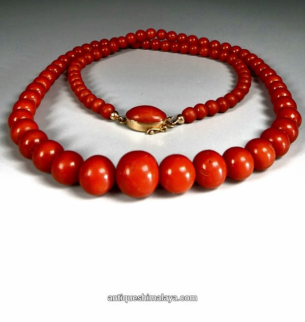 Coral Necklace - Image 2