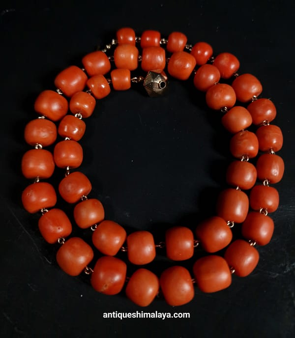 Coral Necklace