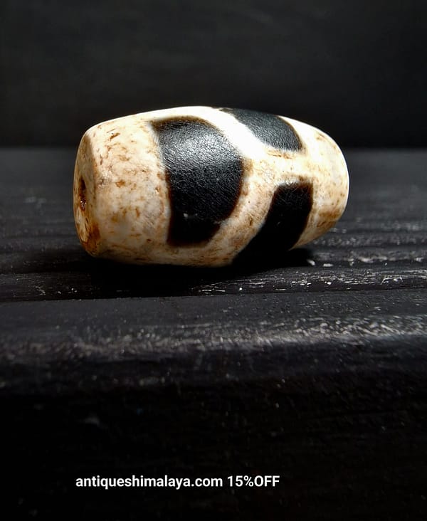 Tibetan Dzi Bead