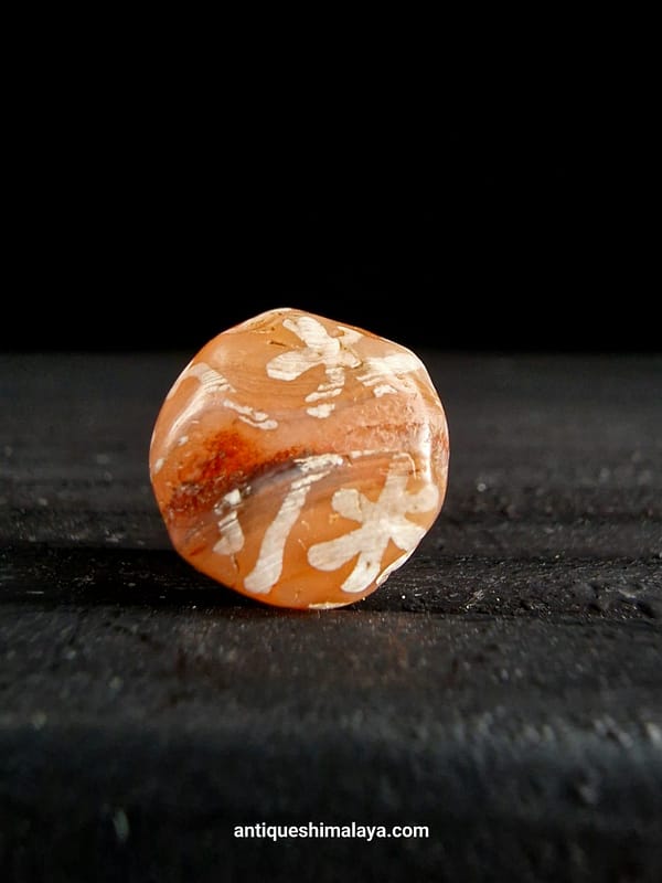 Ancient Carnelian