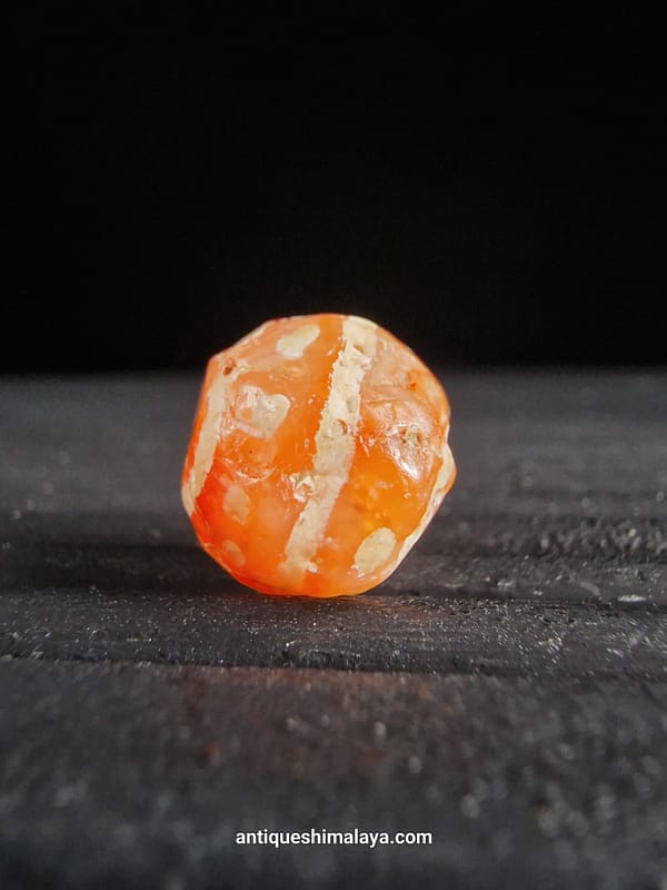 Ancient Carnelian