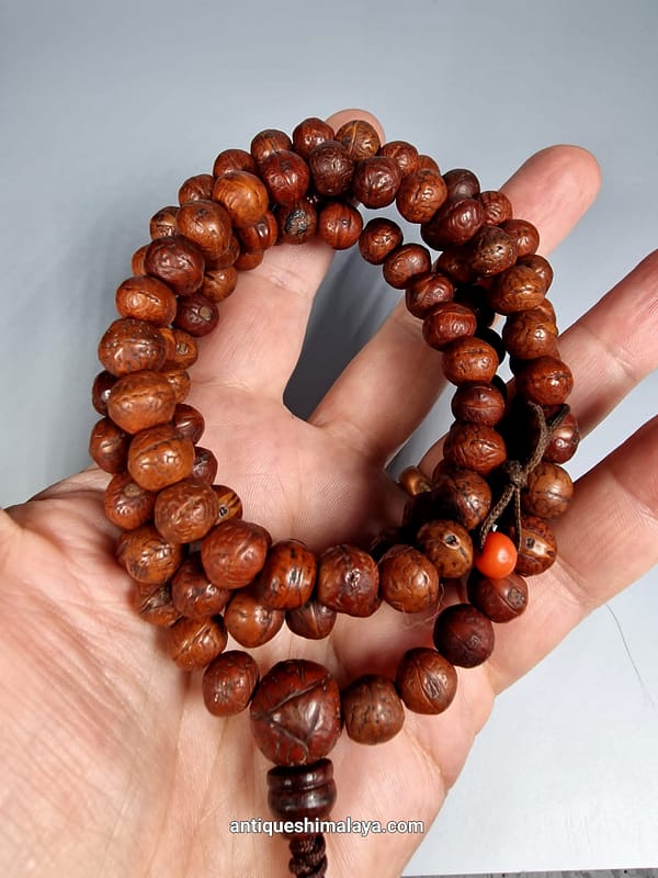 Bodhi Mala 10mm Nepal