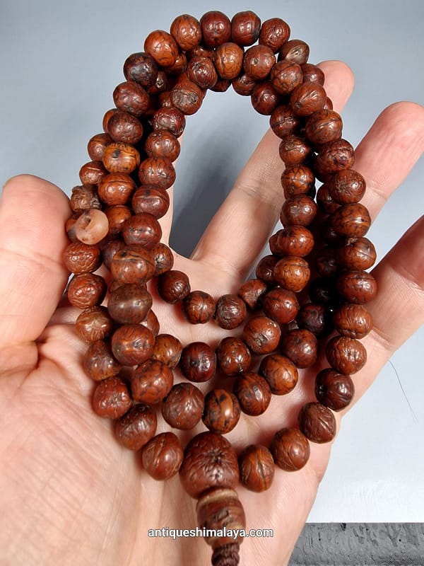 Bodhi Mala 10mm Nepal