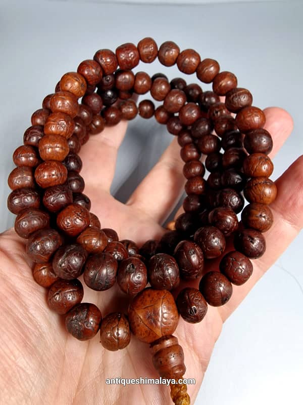 Bodhi Mala 10/11mm/50cm