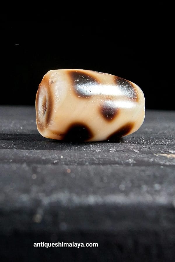 Tibetan Dzi Bead